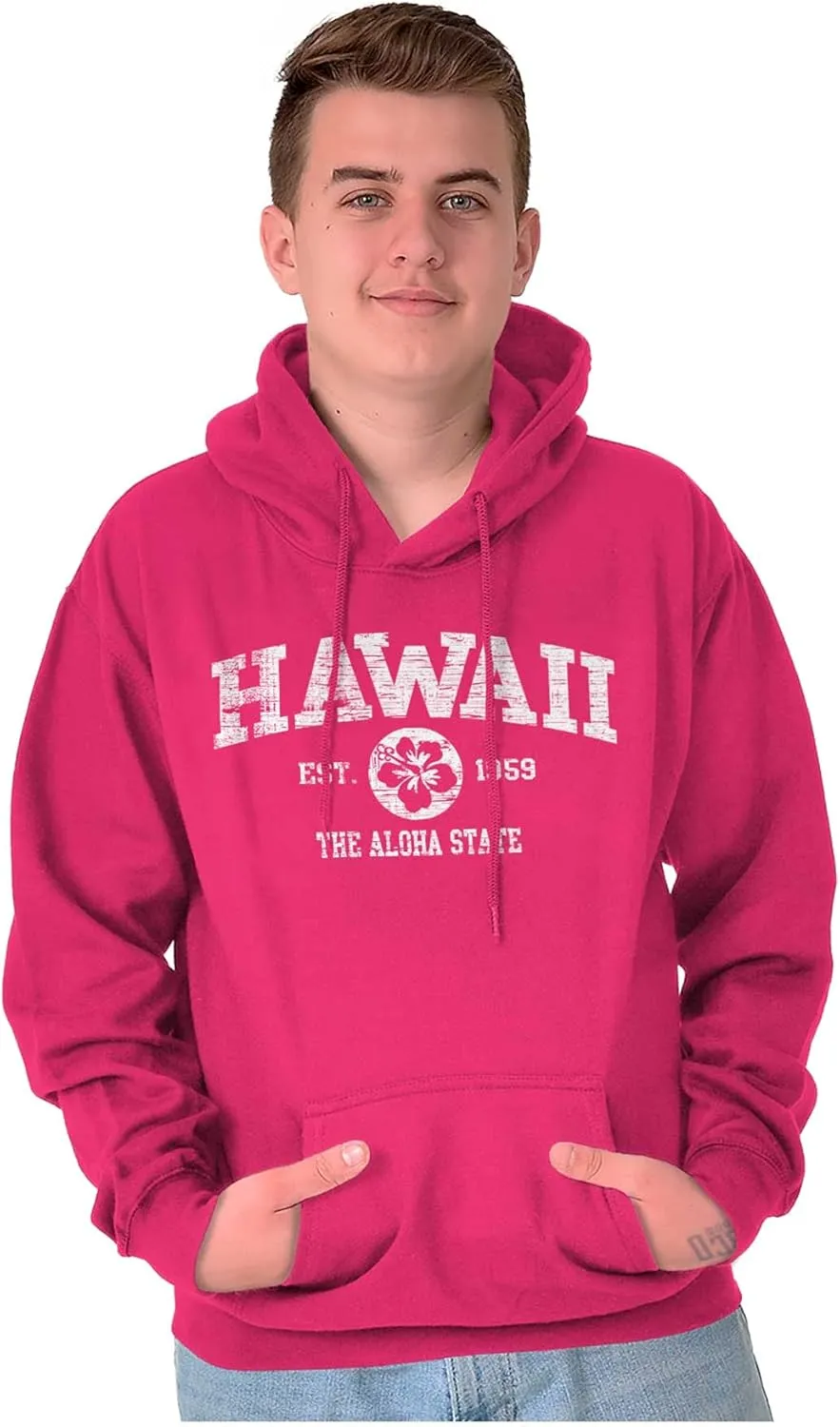 Classic Teaze Florida the Sunshine State Pride Est. Hoodie Sweatshirt Women Men