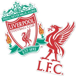 Desert Cactus Liverpool FC Sticker Decal Vinyl English Anfield Football Soccer Laptop Water Bottle Car Scrapbook (4 Inch V1)