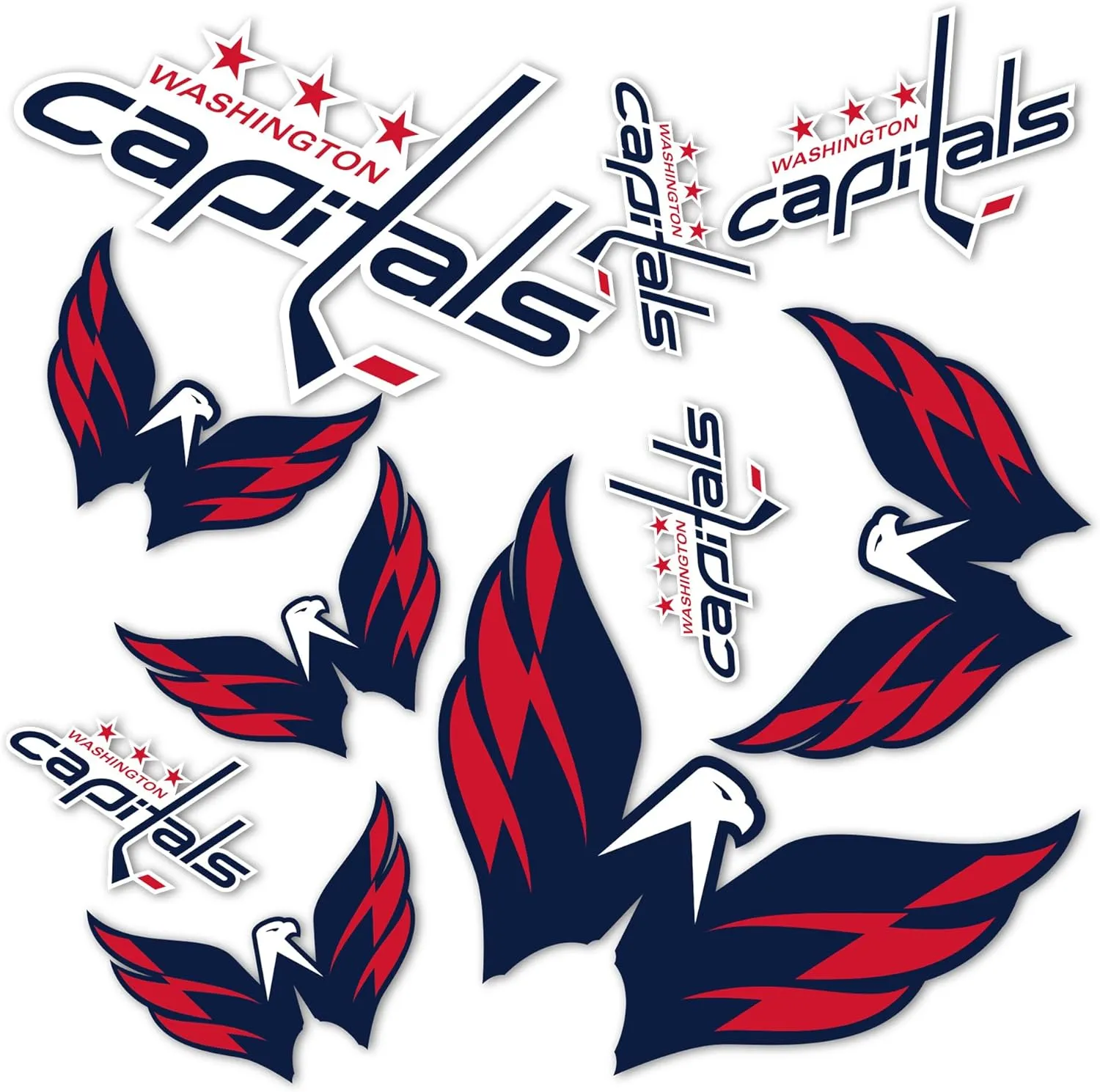 Desert Cactus Washington Capitals Sticker NHL Team National Hockey League Vinyl Decal Laptop Water Bottle Car Scrapbook Sheet (Type 1-1)