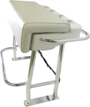 Taco Metals Marine Neptune Premium Leaning Post with Removable Fiberglass Storage, 33-1/2 x 39 x 27-Inch