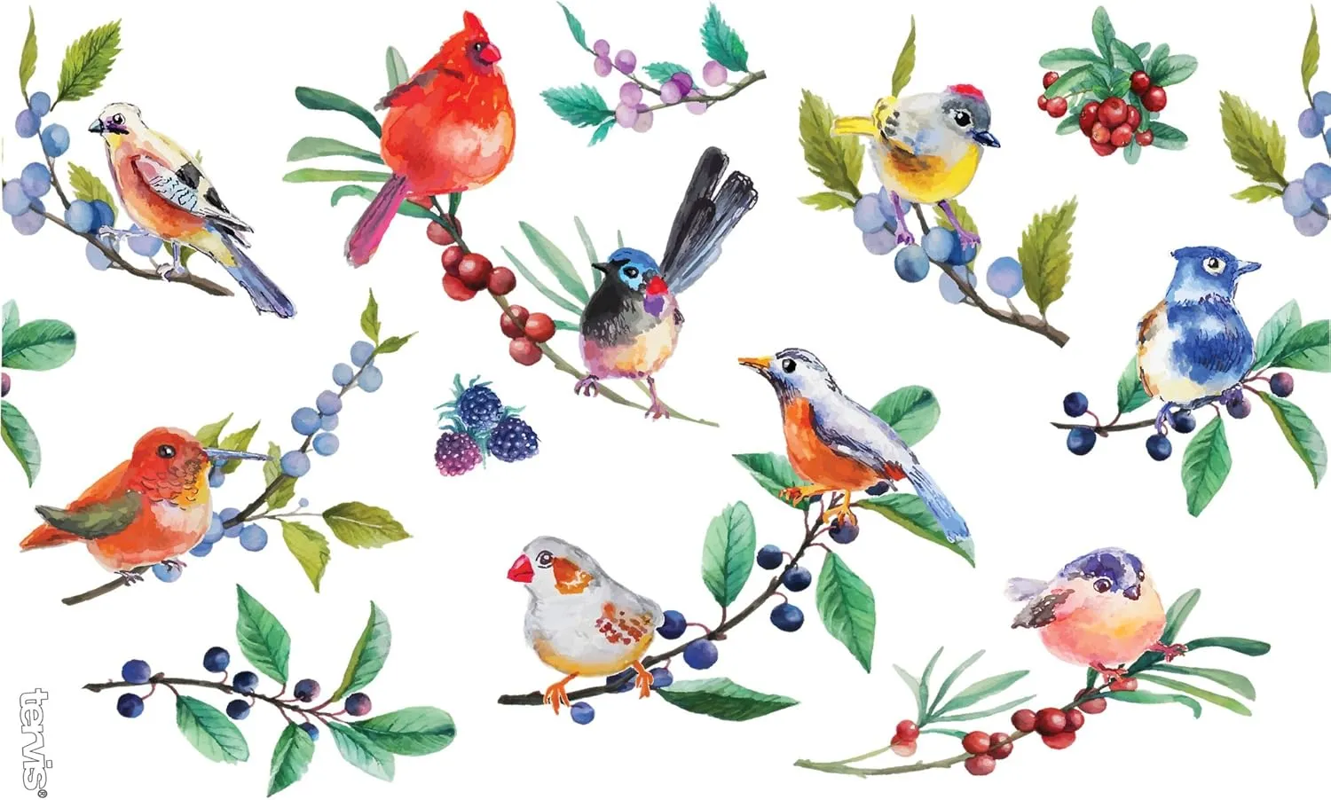 Tervis Watercolor Songbirds Made in USA Double Walled Insulated Tumbler Cup Keeps Drinks Cold & Hot, 16oz, Clear