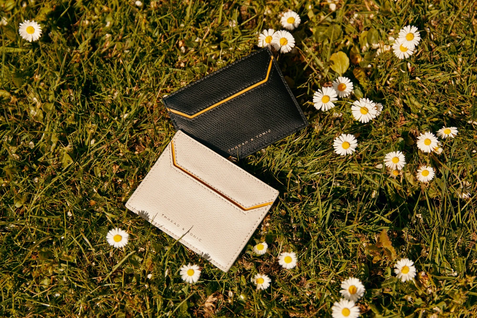 THE CARD HOLDER