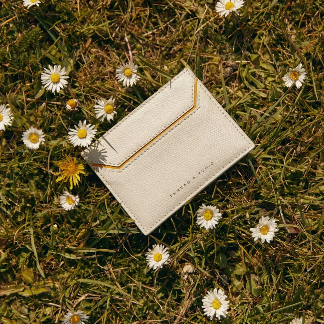 THE CARD HOLDER
